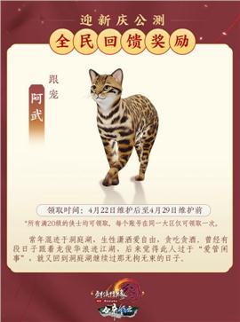 不一样版本的天龙八部私服